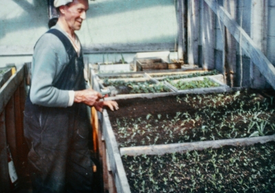 non-Cree person in a greenhouse