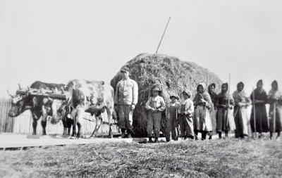 Mission worker and Cree people leading harnessed cows